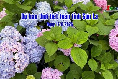 Dự báo thời tiết toàn tỉnh Sơn La ngày 17/8/2026