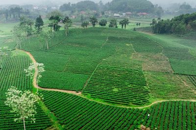 Để chính sách thành động lực phát triển du lịch