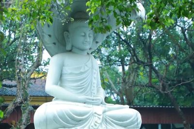 Thơ Trần Quê Hương: Khuyết mà tròn