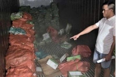 Khởi tố 18 bị can liên quan vụ buôn lậu hơn 5,3 tấn chân giò lợn đông lạnh