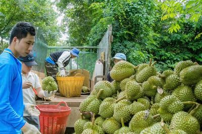 Chính quyền không đứng ngoài cuộc trước những khó khăn của doanh nghiệp và nông dân