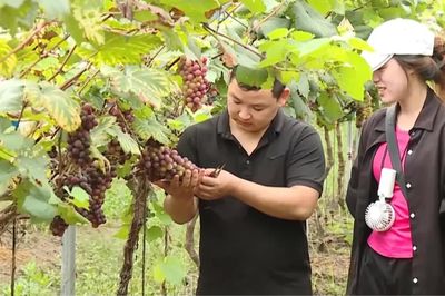 Doanh nghiệp nhỏ và vừa vẫn khó tiếp cận vốn vay