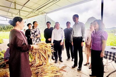 Nam Tuấn khai thác hiệu quả tiềm năng, phát triển kinh tế - Bài 1