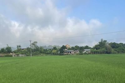 Thời tiết các khu vực trong tỉnh ngày 17/8 có mưa rào và dông rải rác, ngày trời nắng gián đoạn