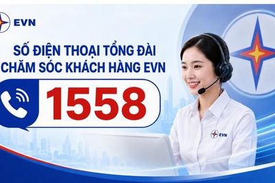 EVN đưa đầu số 1558 vào phục vụ khách hàng toàn quốc