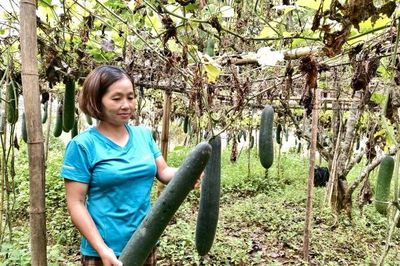 Nữ cán bộ Hội truyền lửa phong trào nông dân sản xuất giỏi