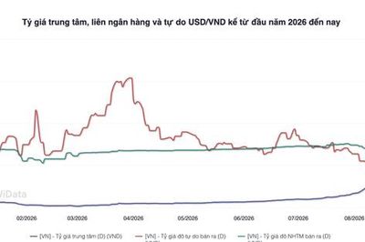 Tỷ giá trung tâm giảm, áp lực USD chưa hạ nhiệt