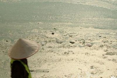 Hồ điều hòa Hà Nội nổi váng, ô nhiễm: Nguyên nhân và giải pháp khắc phục