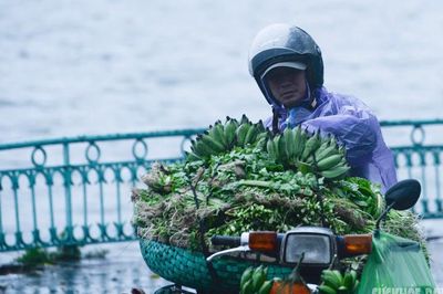 Mùa đông năm nay đến muộn, ít có rét đậm rét hại