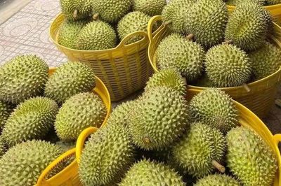 Xuất khẩu rau quả dự báo sẽ tăng trưởng tích cực trong quý III