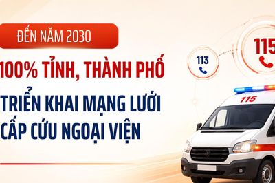 Infographic: Đến năm 2030, 100% tỉnh, thành phố triển khai hệ thống cấp cứu ngoại viện