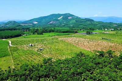 Quảng Ngãi xếp hạng hai di tích gắn với lịch sử cách mạng