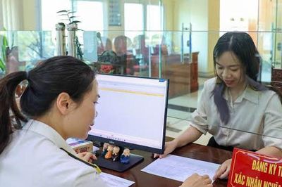 Nghị định 252/2026/NĐ-CP: Những lưu ý chi nhánh, văn phòng đại diện của công ty nước ngoài hoạt động tại Việt Nam