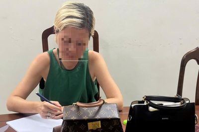 'Đạo chích' ngoại quốc sa lưới
