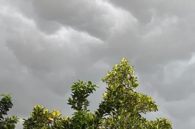 Các ổ mây dông đang phát triển nhiều trên cả nước
