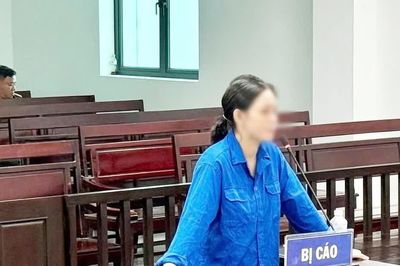 'Cò đất' chiếm đoạt gần 1,4 tỷ đồng lĩnh 12 năm tù giam