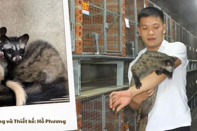 Rẽ lối sau lớp 12, chàng trai 25 tuổi gây dựng cơ ngơi tiền tỷ