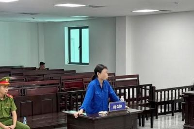 Nữ 'cò đất' lừa đảo ở Hà Tĩnh lĩnh hơn 12 năm tù