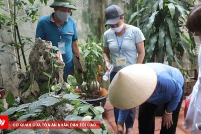 Hà Nội ghi nhận 316 ca sốt xuất huyết trong một tuần