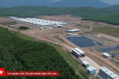 Xử phạt trang trại heo gây ô nhiễm không khí