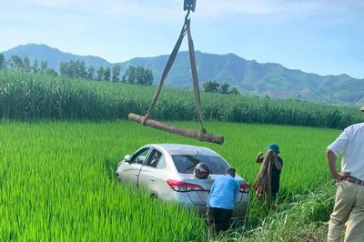 Tài xế ô tô nghi đột quỵ tử vong khi đang chở khách, xe lao xuống ruộng