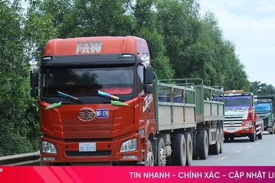 Doanh nghiệp vận tải Hà Tĩnh 'đau đầu' khi thiếu lái xe tải hạng nặng