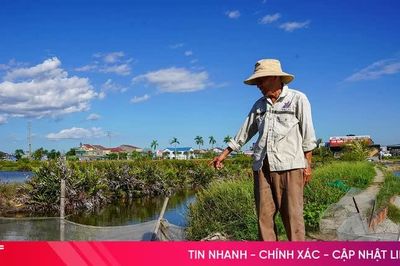 Khi hạ tầng 'níu chân' vùng nuôi thủy sản