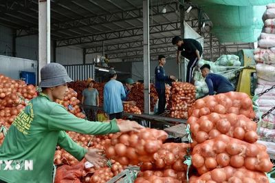 An Giang thúc đẩy xuất khẩu, nâng giá trị các mặt hàng chủ lực