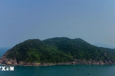 Bán đảo Sơn Trà có 3 tuyến, điểm được phép tham quan