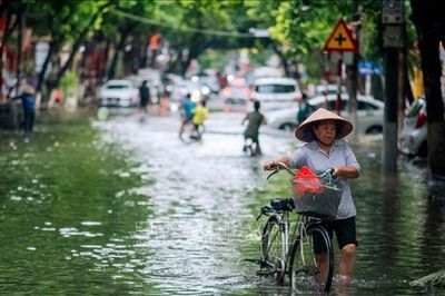 Thời tiết ngày 17/8: Bắc Bộ và Bắc Trung Bộ mưa lớn, có nơi trên 200 mm