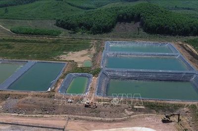 Vụ trại nuôi lợn gây ô nhiễm tại Đắk Lắk: Xử phạt doanh nghiệp 180 triệu đồng