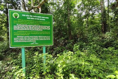 Phê duyệt phương án sử dụng đất của Ban Quản lý Khu bảo tồn thiên nhiên Nam Nung