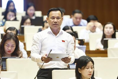 Gắn phát triển đô thị với quốc phòng, an ninh và kinh tế biển