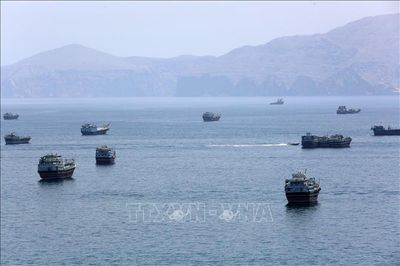 Châu Phi âm thầm tham gia giải quyết khủng hoảng ở eo biển Hormuz