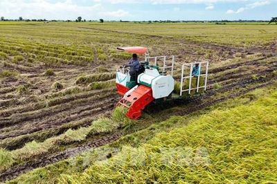Biến đổi khí hậu: Từ thích ứng đến nâng cao giá trị nông sản