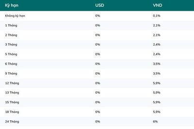 Lãi suất BIDV hôm nay 17/8/2026: Cao nhất 6%/năm