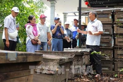 Biến vườn cây thành điểm du lịch hút khách: Tuyệt chiêu nhà vườn Cần Thơ