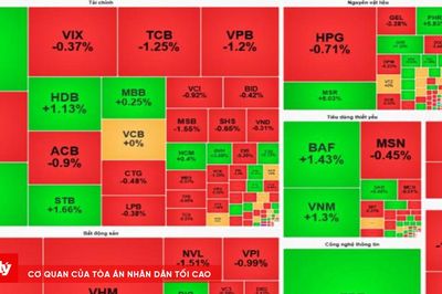 Chứng khoán phiên sáng 17/8: VN-Index mất gần 10 điểm