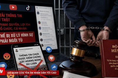 Lợi dụng mạng xã hội đăng tải thông tin không chính xác, một người sắp hầu tòa