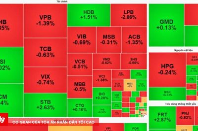 Chứng khoán ngày 17/8: Một phiên nhiều nhịp đảo chiều của VN-Index, tiền đang chảy về đâu?