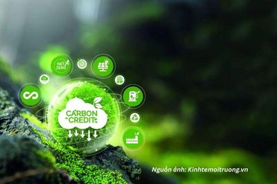 Gỡ điểm nghẽn, tạo lực đẩy cho thị trường carbon