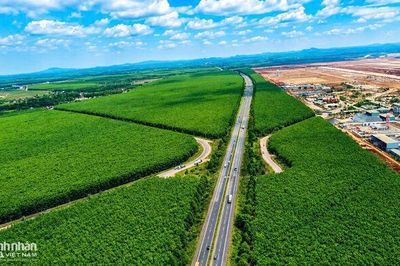 Lộ diện khu công nghệ số 1.400 tỷ cạnh sân bay Long Thành, sẽ hoàn thành trong 5 năm tới