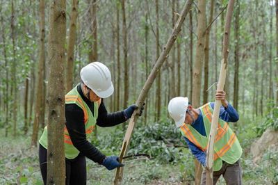 Làm rõ cơ chế hoàn trả tiền cho người lao động khi không được xuất cảnh