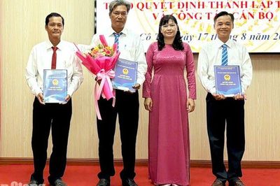 Xã Cô Tô giảm còn 5 trường