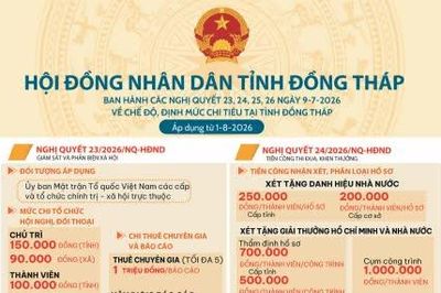 Nghị quyết 23, 24, 25, 26 ngày 9-7-2026 của HĐND tỉnh Đồng Tháp