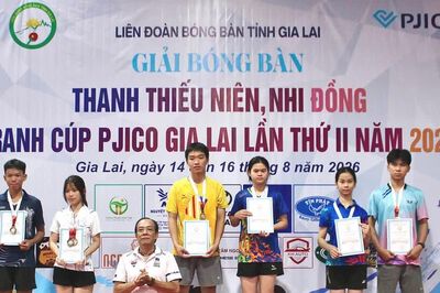 Giải Bóng bàn thanh thiếu niên, nhi đồng tranh Cúp PJICO: Thêm sân chơi, thêm cơ hội