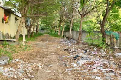 Xã Đại Lãnh: Sửa chữa tuyến đường xuống biển trước ngày 20-8