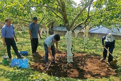 Đào tạo nghề cho lao động nông thôn