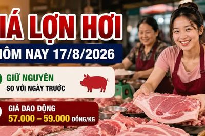 Giá lợn hơi hôm nay 17/8/2026: Cả ba miền đồng loạt đi ngang