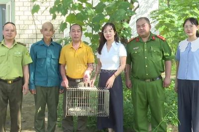 Xã Bản Xèo bàn giao cá thể kỳ đà hoa để cứu hộ